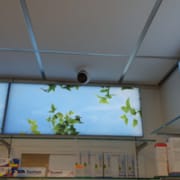 JB Camerabeveiliging Apotheek Ussen - Oss